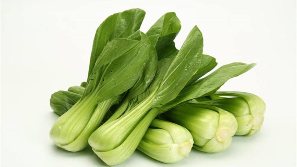 蔬菜配送行業(yè)的發(fā)展